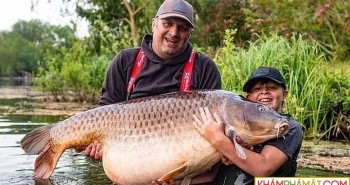 Cậu bé 11 tuổi lập kỷ lục thế giới nhờ câu con cá chép nặng 43,5kg