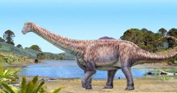Phát hiện loài khủng long cổ dài mới trên sa mạc khô cằn nhất thế giới