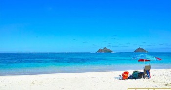 Bãi cát trắng tuyệt đẹp ở Hawaii thực chất chỉ là... phân cá?