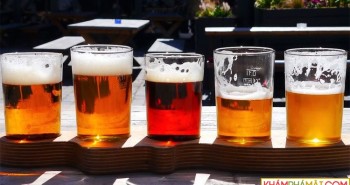 Các nhà khoa học phát hiện ra rằng bia có tác dụng chữa bệnh