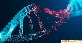 Các nhà khoa học công bố bộ gene người hoàn chỉnh đầu tiên