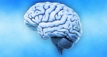 Phát hiện mới: Não đào thải độc tố khi ta thức, chứ không phải lúc ngủ