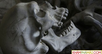 Phát hiện vật chất lạ trong răng bộ xương thời Trung Cổ