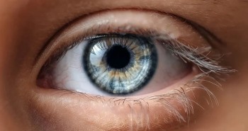 Đột phá: Chữa cận thị, viễn thị bằng thuốc nhỏ mắt