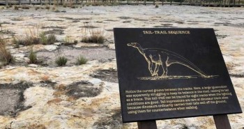 Top 5 vùng đất cho khách "đi bộ" cùng khủng long