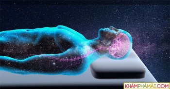 Mối quan hệ giữa giấc ngủ và nhận thức của con người