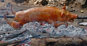 Vì sao người Hồi giáo không ăn thịt lợn?
