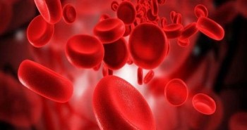 Bạch cầu trong máu giúp chúng ta chống lại bệnh tật như thế nào?