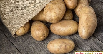 Vì sao khoai tây sinh ra khí độc khi bị thối rữa?