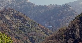 Khói bốc lên trên cây cổ thụ nghìn năm tuổi gần 1 năm sau cháy rừng