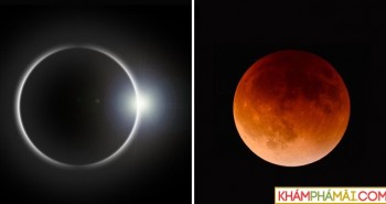 Sự trùng hợp đáng kinh ngạc khiến cho Mặt Trăng và Mặt Trời không cùng kích cỡ mà vẫn che khuất được nhau