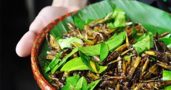 Một món ăn "đặc sản" vào mùa: Người Việt mê tít nhưng tiềm ẩn nguy cơ bệnh tật, có thể gây tử vong