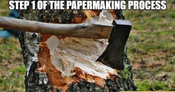 Tại sao chúng ta không thể làm mất nếp nhăn của giấy?
