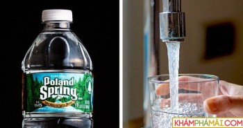 Những sự thật về nước đóng chai mà không phải ai cũng biết