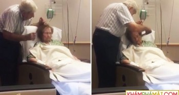 
                            Cảm động video cụ ông chải tóc cho vợ trên giường bệnh
                        