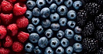 Sau 50 tuổi, chuyên gia Mỹ khuyên ăn nhiều loại quả này để trẻ lâu, kiểm soát đường huyết, "chặn đứng" ung thư