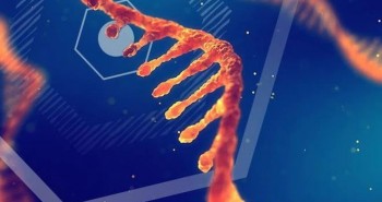 Lần đầu tiên trong lịch sử, các nhà nghiên cứu Israel phát hiện ra loại RNA mới, rất hiếm