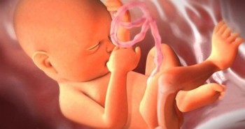 Cận cảnh sự phát triển xương của em bé trong bào thai