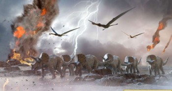 Tại sao gián sống sót khi thiên thạch xóa sổ khủng long?