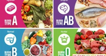 Mỗi nhóm máu nên ăn gì để tốt cho cơ thể?