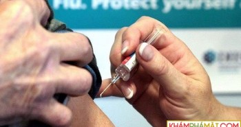 Vắc xin HIV của Harvard thành công bước đầu trên người