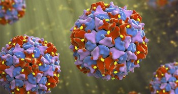 Phát hiện 110.000 loại virus RNA chưa từng thấy trước đây